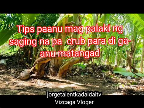 hindi pinaisa ang masahista pinayflix|Umaga Kung Magtanim si Plantito.